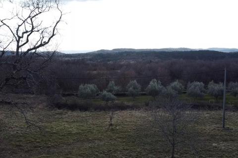 Hiša Oprtalj, 240m2