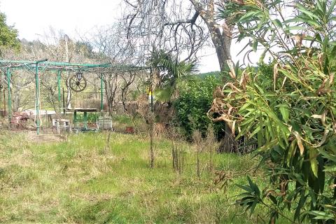 Istra, Buje - autohtona kuća s panoramskim pogledom