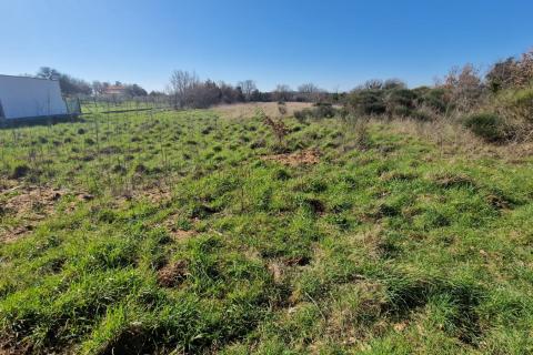 Istra, Ližnjan, Negrađevinsko Zemljište 6042m2