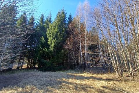 Terreno edificabile Lič, Fužine, 3.179m2