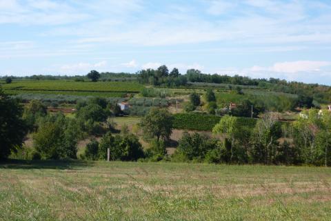 Građevinsko zemljište otvorenog pogleda kod Vižinade