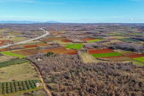 Kaštelir, okolica - Veliko poljoprivredno zemljište otvorenog pogleda