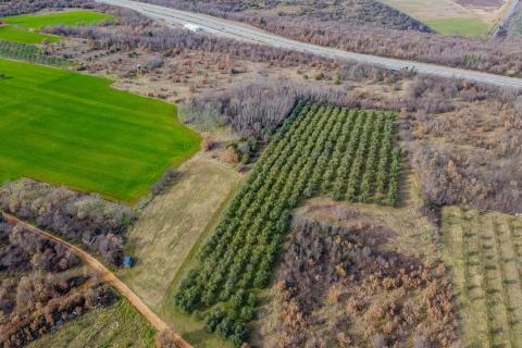 Kaštelir, okolica - Veliko poljoprivredno zemljište otvorenog pogleda