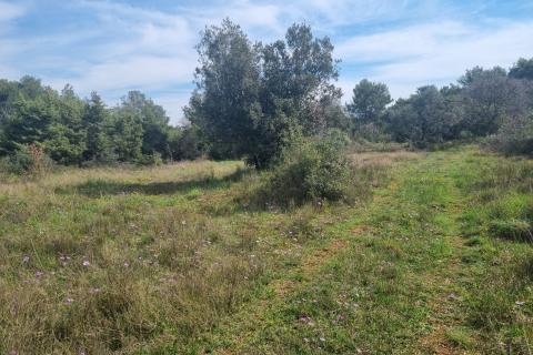 Земельный участок строительного назначения Štinjan, Pula, 2.913m2