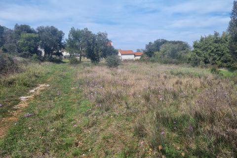 Земельный участок строительного назначения Štinjan, Pula, 2.913m2