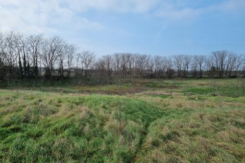 Дом okolica Pule, Pula, 200m2