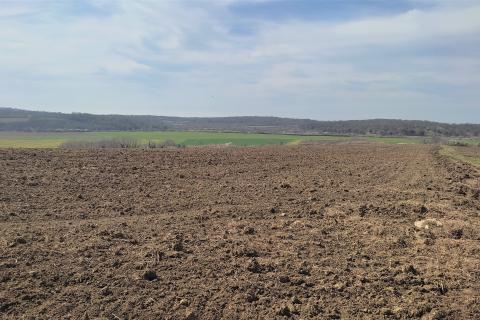 Земельный участок нестроительного назначения Buje, 5.400m2