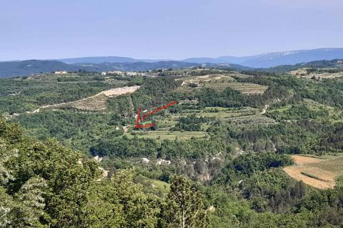 Istra, Draguć, starina za adaptaciju sa poljoprivrednim zemljištem