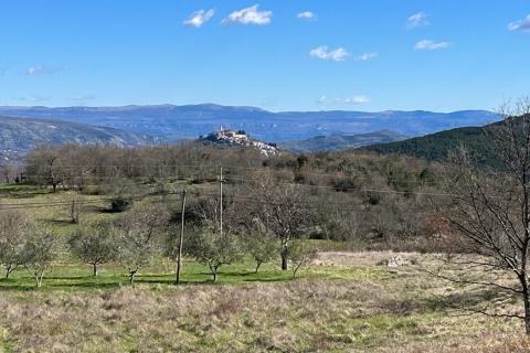 Motovun - okolica, poljoprivredno zemljište na izuzetnoj lokaciji