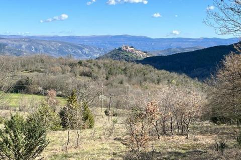 Motovun - okolica, poljoprivredno zemljište na izuzetnoj lokaciji