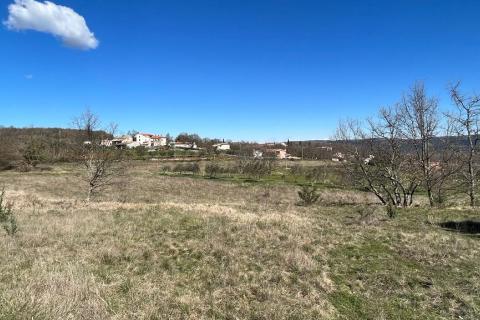 Motovun - okolica, poljoprivredno zemljište na izuzetnoj lokaciji