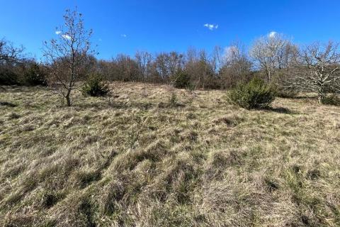 Motovun - okolica, poljoprivredno zemljište na izuzetnoj lokaciji