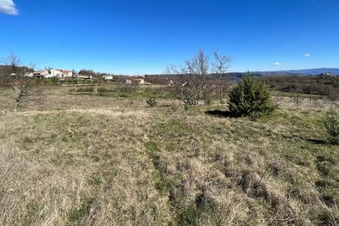 Motovun - okolica, poljoprivredno zemljište na izuzetnoj lokaciji