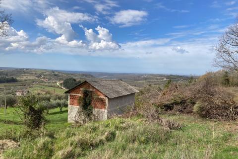 Grožnjan okolica, građevinsko zemljište s pogledom na more