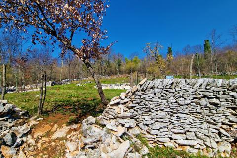 Istra,Grožnjan,okolica-Građevinsko zemljište u mirnom okruženju