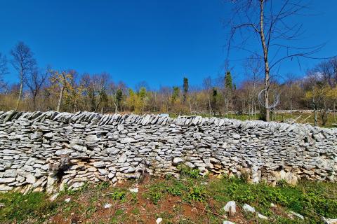 Istra,Grožnjan,okolica-Građevinsko zemljište u mirnom okruženju