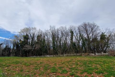 Terreno non edificabile Bokordići, Svetvinčenat, 2.769m2