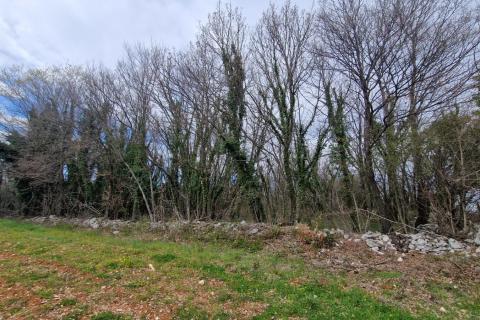 Terreno non edificabile Bokordići, Svetvinčenat, 2.769m2