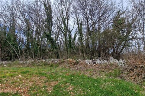 Terreno non edificabile Bokordići, Svetvinčenat, 2.769m2