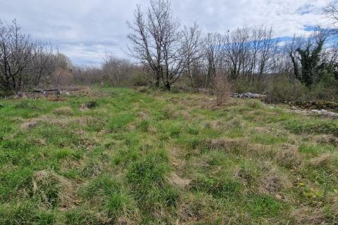 Terreno non edificabile Bokordići, Svetvinčenat, 2.769m2