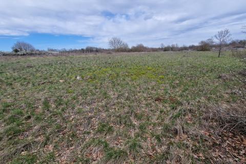 Terreno non edificabile Bokordići, Svetvinčenat, 5.565m2