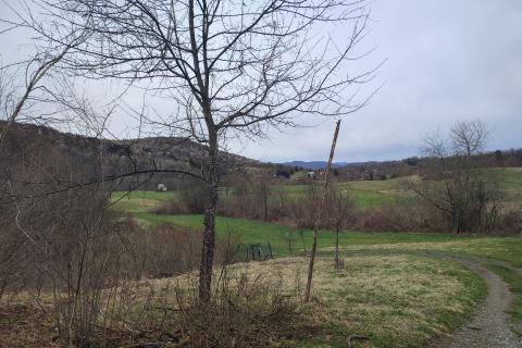 Ponikve, Ogulin, 2.806m2