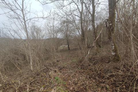 Ponikve, Ogulin, 2.806m2