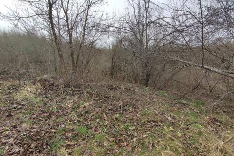 Ponikve, Ogulin, 2.806m2