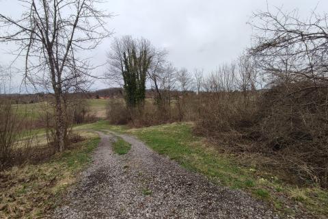 Ponikve, Ogulin, 2.806m2