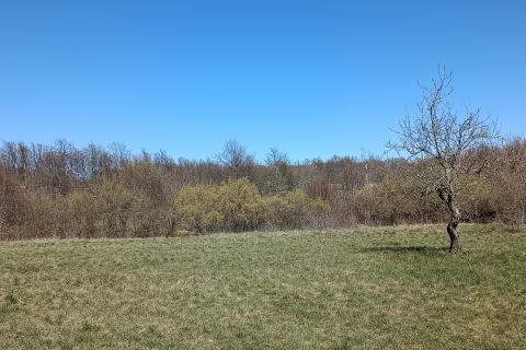 Istra, Barban - građevinsko zemljište 3000m2 na lijepoj lokaciji