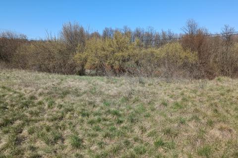 Istra, Barban - građevinsko zemljište 3000m2 na lijepoj lokaciji