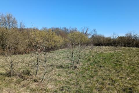 Istra, Barban - građevinsko zemljište 3000m2 na lijepoj lokaciji