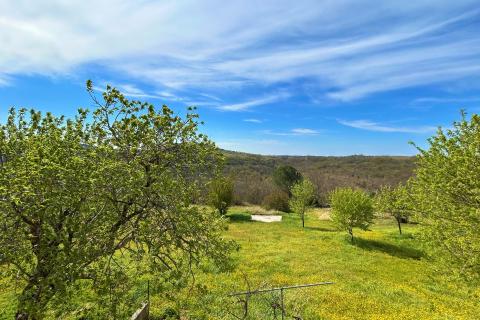 ISTRA, BUJE - Samostojeća kuća i veliko građevinsko zemlji&scaron;te