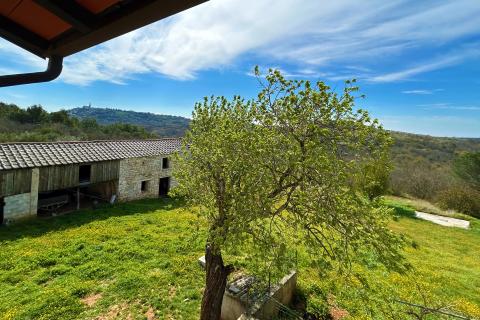 ISTRA, BUJE - Samostojeća kuća i veliko građevinsko zemlji&scaron;te