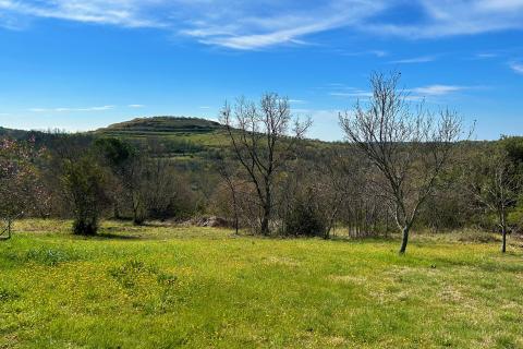 ISTRA, BUJE - Samostojeća kuća i veliko građevinsko zemlji&scaron;te