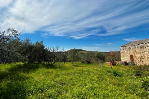ISTRA, BUJE - Samostojeća kuća i veliko građevinsko zemlji&scaron;te