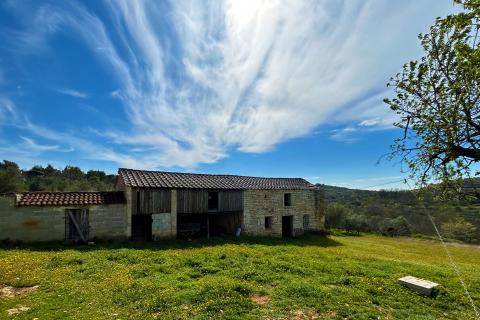 ISTRA, BUJE - Samostojeća kuća i veliko građevinsko zemlji&scaron;te