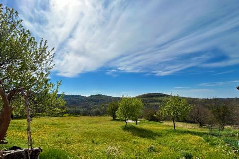 ISTRA, BUJE - Samostojeća kuća i veliko građevinsko zemlji&scaron;te
