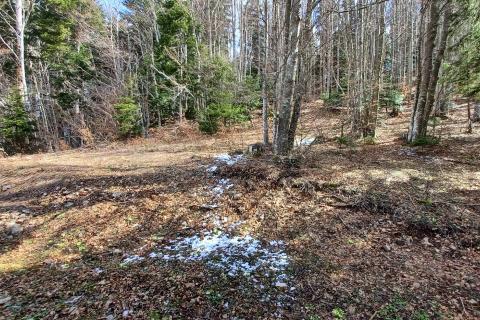 Mrkopalj, Brestova Draga - planinska brvnara sa okućnicom