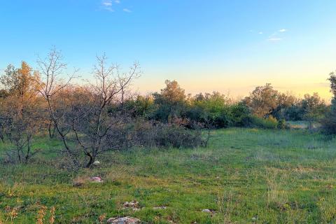 Terreno edificabile Galižana, Vodnjan, 7.637m2