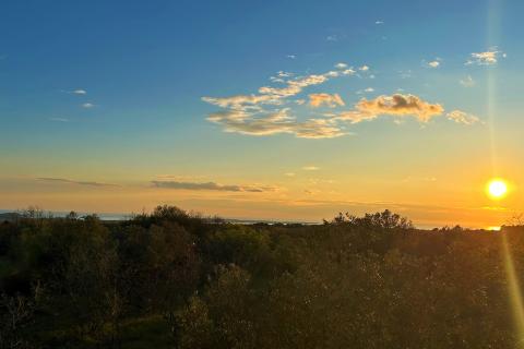 Terreno edificabile Galižana, Vodnjan, 7.637m2