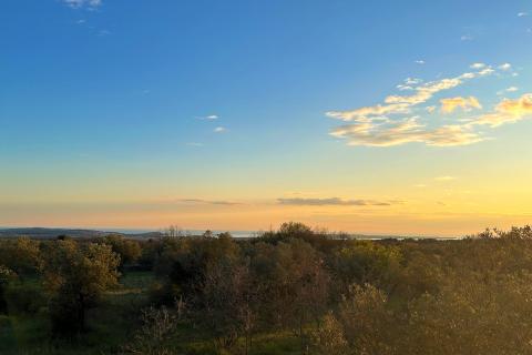 Terreno edificabile Galižana, Vodnjan, 7.637m2