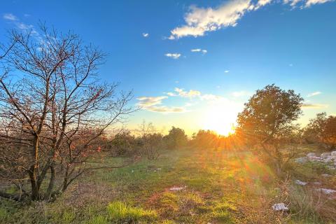 Terreno edificabile Galižana, Vodnjan, 7.637m2