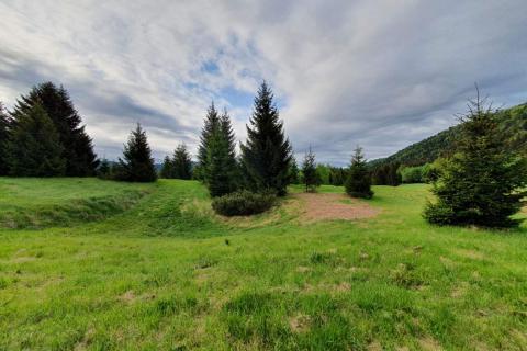 Niet bouwgrond Ravna Gora, 12.304m2