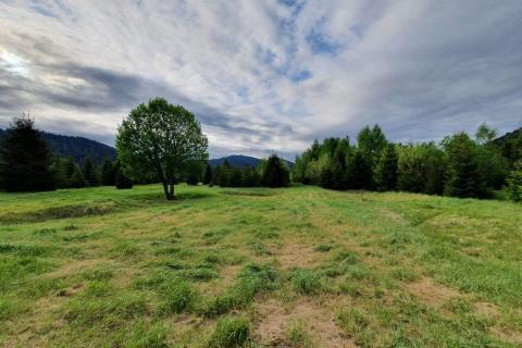 Niet bouwgrond Ravna Gora, 12.304m2