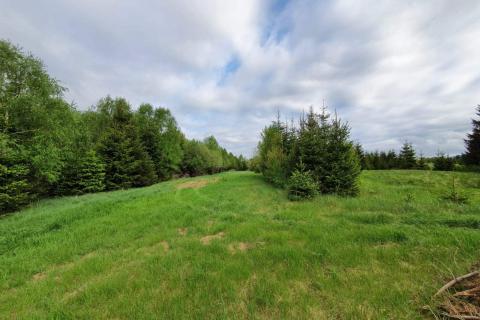 Niet bouwgrond Ravna Gora, 12.304m2