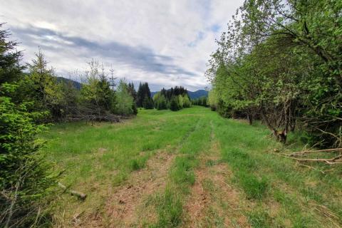 Niet bouwgrond Ravna Gora, 12.304m2