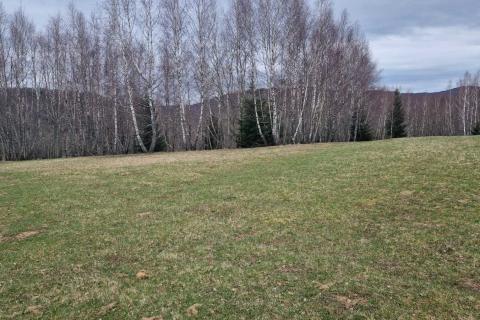 Non-structural plot Kupjak, Ravna Gora, 29.575m2