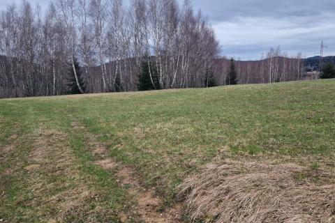 Non-structural plot Kupjak, Ravna Gora, 29.575m2