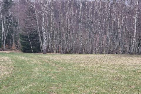 Non-structural plot Kupjak, Ravna Gora, 29.575m2